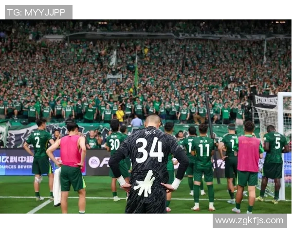 2018中超第29轮国安与申花精彩对决全场比赛录像回顾